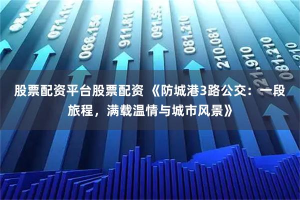 股票配资平台股票配资 《防城港3路公交：一段旅程，满载温情与城市风景》