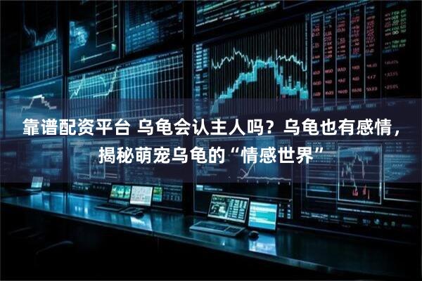 靠谱配资平台 乌龟会认主人吗？乌龟也有感情，揭秘萌宠乌龟的“情感世界”